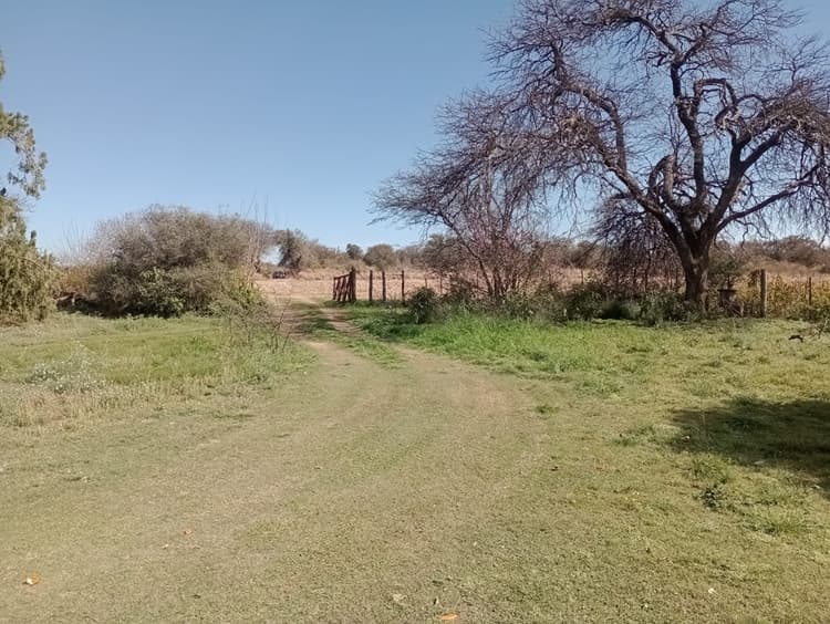 Imagen para propiedad ubicada en CAMPO EN VENTA, SAN JOSE DE LA DORMIDA